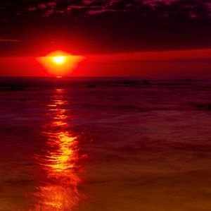 Meet your Posher, Clarissa